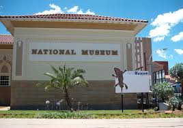 National Museum – Internship 2021/2022